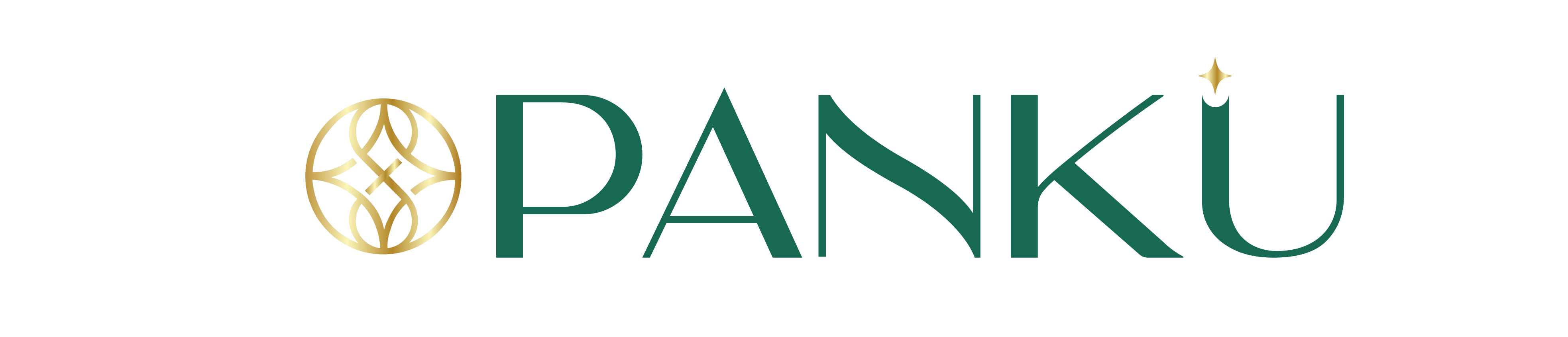 PANKU JEWELS
